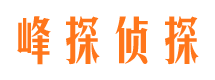 尉氏侦探公司